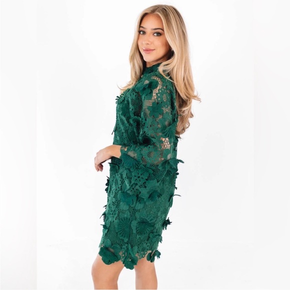 New J. Marie Seraphina 3D Floral Lace Shift Dress size Small - Picture 4 of 14